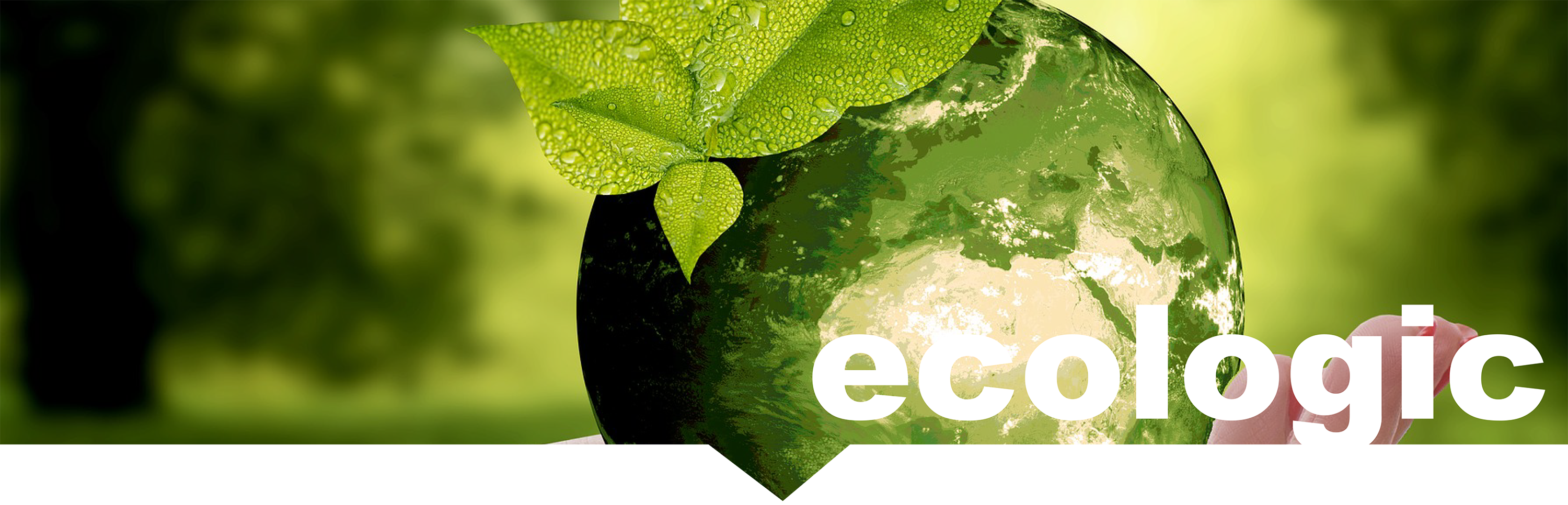 eco